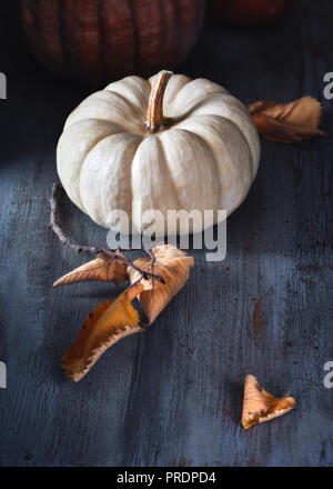 Petite citrouille décorative blanc sur fond sombre, les décorations saisonnières avec les feuilles d'automne Banque D'Images