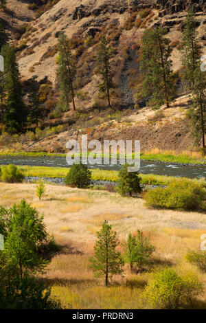 Grande Ronde, Wild and Scenic River, Wenaha de faune, de l'Oregon Banque D'Images