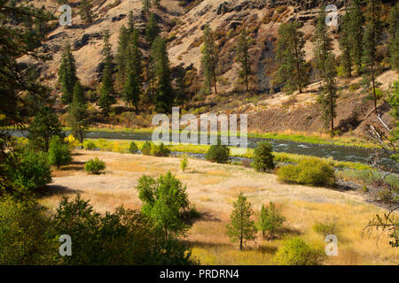 Grande Ronde, Wild and Scenic River, Wenaha de faune, de l'Oregon Banque D'Images