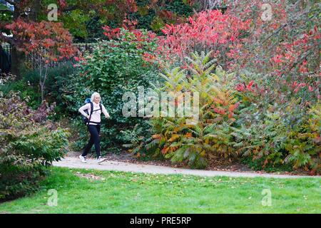 Hastings, East Sussex, UK. 2e oct, 2018. Météo Royaume-uni météo automnale : et une légère brise dans l'air et pluies abondantes prévues plus tard comme un peu de gens, faites une promenade autour d'Alexandra Park. Cette femme bénéficie d'un jogging dans le parc, le jogging passé l'automne couleurs des arbustes. © Paul Lawrenson, 2018 Crédit photo : Paul Lawrenson / Alamy Live News Banque D'Images