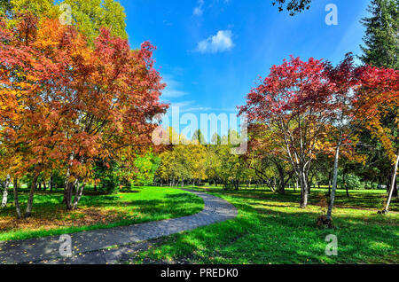 Petit coin d'automne parc de la ville avec chemin à travers les arbres avec pelouse entre le feuillage multicolore rouge et arbres rowan - paysage d'automne à Bright Banque D'Images