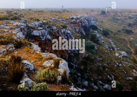 Entrée de la grotte de Cocklebiddy plaine du Nullarbor, Australie occidentale Banque D'Images