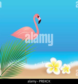 Pink flamingo tropical sur la plage avec des fleurs de frangipanier blanc illustration vecteur EPS10 Illustration de Vecteur