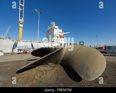 Cargo en cale sèche pour maintenance avec grande hélice dans l'avant-plan, port d'Anvers, Belgique Banque D'Images