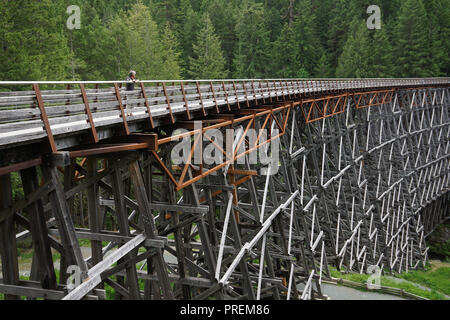 Pont sur chevalets Kinsol sur l'île de Vancouver, Canada Banque D'Images