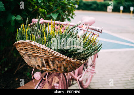 Vieux modèle Vintage de décoration location équipée Panier avec Bush de Calluna plante en ville. Banque D'Images