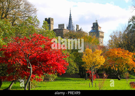 Le Château de Cardiff, Pays de Galles, UK dans le soleil d'automne Banque D'Images