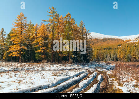 Le paysage de montagnes de l'Altaï, à l'automne, Sibérie, Russie, République de montagne de l'Altaï Banque D'Images