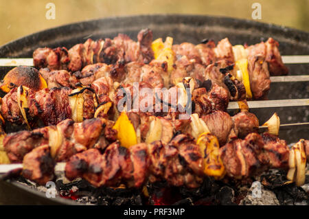 Porc barbecue chaud préparé sur le gril avec des épices libre, extérieur, dans maison de campagne. Banque D'Images