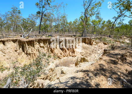 Crique érodée pendant la saison sèche, près de Mareeba, Far North Queensland, Queensland, Australie, FNQ Banque D'Images