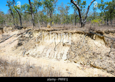 Crique érodée pendant la saison sèche, près de Mareeba, Atherton Tablelands, Far North Queensland, Queensland, Australie, FNQ Banque D'Images