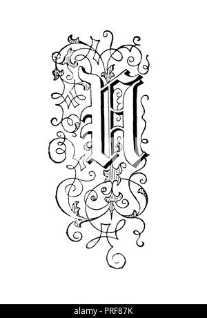 Dessin original de la lettre N. Publié dans histoire illustrée des grandes nations : à partir de la première des dates à l'heure actuelle (Charlotte M. Banque D'Images