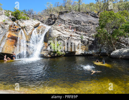 Visiteurs en natation Emerald Creek Falls, près de Mareeba, Atherton Tablelands, Far North Queensland, Queensland, Australie, FNQ Banque D'Images