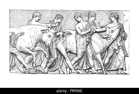 Illustrations originales de victimes sacrificielles en procession - (à partir de l'original dans le British Museum). Publié dans histoire illustrée de la gre Banque D'Images