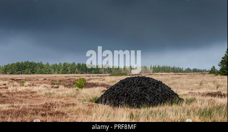 Sligo, Irlande. 30 janvier, 2014. Des mottes de tourbe empilés dans les régions rurales de comté de Sligo, Irlande. Banque D'Images