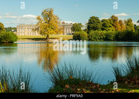 En début d'automne, Petworth Park West Sussex, Angleterre. Banque D'Images