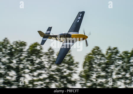 North American P-51 Mustang de la Deuxième Guerre mondiale avion de chasse volant bas au-dessous de la hauteur de l'arbre à vitesse à un meeting aérien. Spectacle aérien, air afficher Banque D'Images