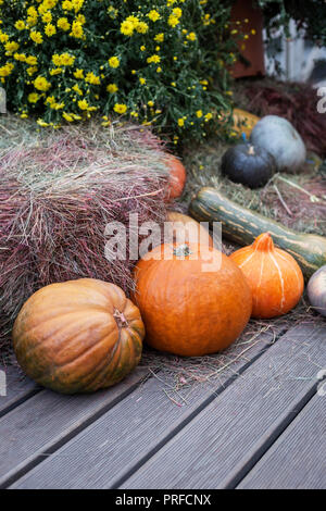 Composition automnale de citrouilles avec du foin à base de bois Banque D'Images