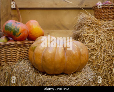 Composition automnale de citrouilles avec du foin à base de bois Banque D'Images