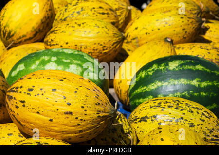 Groupe des verts frais mûrs de pastèques et de melons. doux jaune Melons cantaloup sur la boîte en bois à vendre à ferme biologique. Le melon est l'un des différents p Banque D'Images