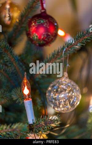 Babioles de Noël Bougie électrique et sur les sapins et lumières fond Banque D'Images