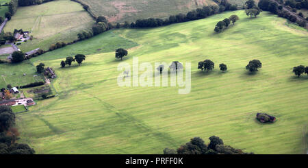 Vue aérienne des arbres dans un champ les agriculteurs de grandes cultures, près de Crewe dans le Cheshire Banque D'Images