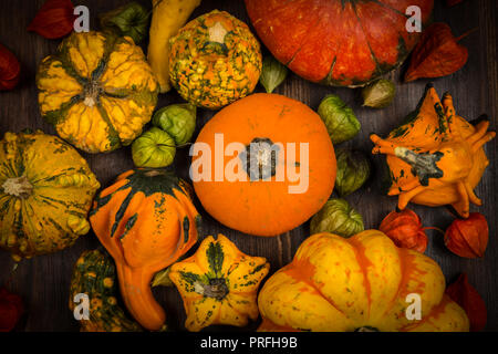 L'action de grâce et l'Halloween pumpkins still life Banque D'Images