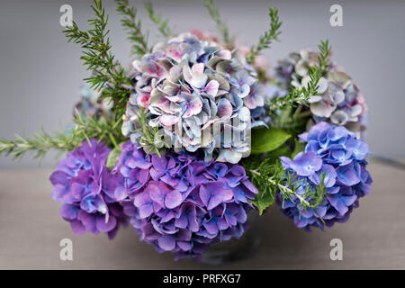 Purple hydrangea Devon cottage Banque D'Images