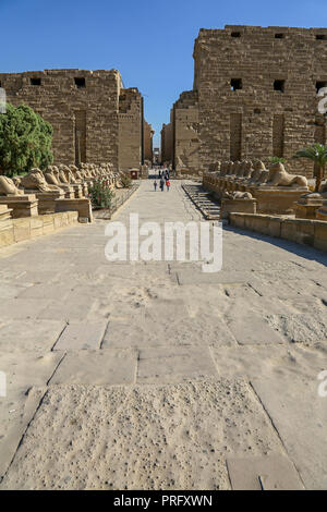 Sphinx à tête de bélier le complexe du temple de Karnak, communément connu sous le nom de Karnak, un vaste ensemble de temples en décomposition, et autres bâtiments à Louxor, Egypte Banque D'Images