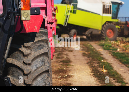La saison des récoltes agricoles, tracteur et moissonneuse-batteuse, dans le champ, selective focus Banque D'Images