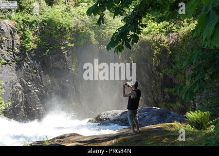 Parc provincial d'Elk Falls, Campbell River, Vancouver Island, Canada Banque D'Images