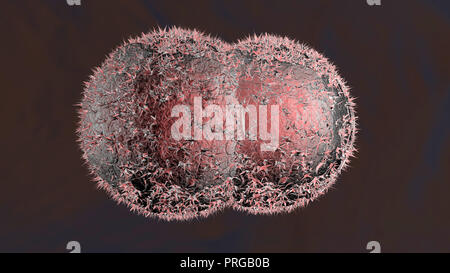 Rendu 3D Illustration de la mitose et la division d'une cellule cancéreuse. Banque D'Images
