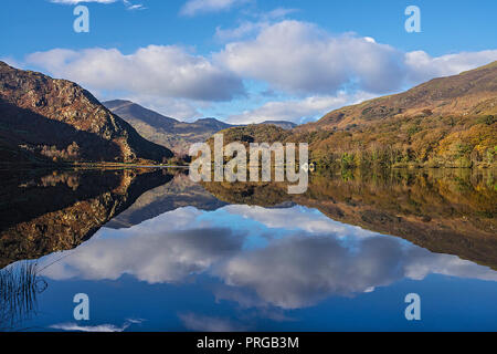 Réflexions dans Llyn Dinas dans le Nant Gwynant près de la vallée à l'ouest de Beddgelert avec Moel Hebog et Moel Lefn en arrière-plan national de Snowdonia P Banque D'Images