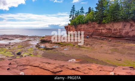 BURNTCOAT HEAD Park, Nova Scotia, CANADA - Baie de Fundy à marée basse. Site de Burntcoat est plus hautes marées du monde. Banque D'Images