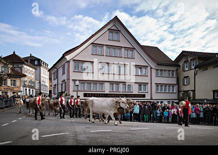 Zürich, Suisse. 2e oct, 2018. Les gens assistent à l'Appenzell Appenzell dans tous les bovins, Suisse, le 2 octobre 2018. L'Appenzell, bovins habituellement lieu en début octobre de chaque année, est l'un des événements les plus importants pour les Alpes local bergers. Pendant le spectacle, les vaches sont exposées et d'être jugé par certains caractères tels que la race, la mamelle construire et enduire. Crédit : Michele Limina) (jmmn/Xinhua/Alamy Live News Banque D'Images