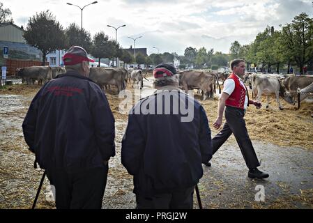 Zürich, Suisse. 2e oct, 2018. Personnes visitent le bétail en Appenzell Appenzell Show, Suisse, le 2 octobre 2018. L'Appenzell, bovins habituellement lieu en début octobre de chaque année, est l'un des événements les plus importants pour les Alpes local bergers. Pendant le spectacle, les vaches sont exposées et d'être jugé par certains caractères tels que la race, la mamelle construire et enduire. Crédit : Michele Limina) (jmmn/Xinhua/Alamy Live News Banque D'Images