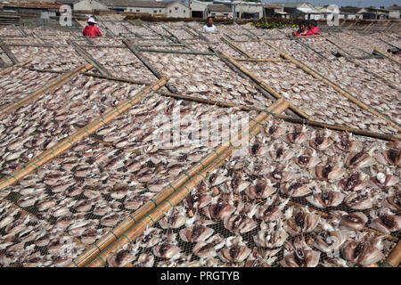 Taizhou, Zhejiang Province de la Chine. 2e oct, 2018. Les villageois des calmars dans l'air Songmen Canton de Wenling, est de la Chine, la province du Zhejiang, le 2 octobre 2018. Songmen est un important producteur de poisson dans le Zhejiang. Les pêcheurs locaux sont occupés le séchage du poisson durant la saison de pêche. Credit : Liu Zhenqing/Xinhua/Alamy Live News Banque D'Images