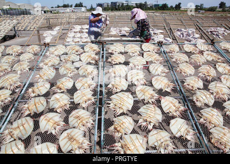 Taizhou, Zhejiang Province de la Chine. 2e oct, 2018. Les villageois des calmars dans l'air Songmen Canton de Wenling, est de la Chine, la province du Zhejiang, le 2 octobre 2018. Songmen est un important producteur de poisson dans le Zhejiang. Les pêcheurs locaux sont occupés le séchage du poisson durant la saison de pêche. Credit : Liu Zhenqing/Xinhua/Alamy Live News Banque D'Images