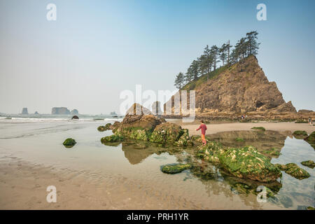 L'escalade des rochers près de garçon Quileute aiguilles, à la deuxième plage, partie de la Push Beach, la côte du Pacifique, Olympic National Park, Washington State, USA Banque D'Images