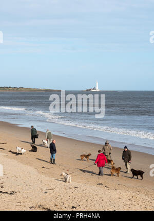 Groupe de personnes marcher les chiens sur la plage de Whitley Bay, North Tyneside, Angleterre, RU Banque D'Images