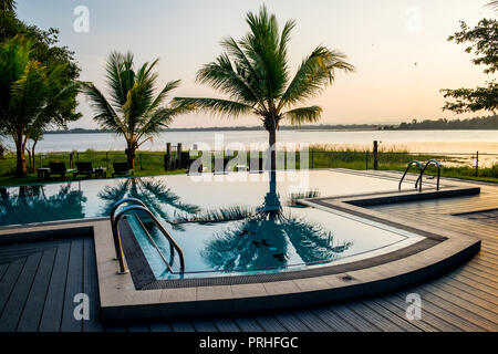 Palm arbres se reflétant dans la piscine Banque D'Images