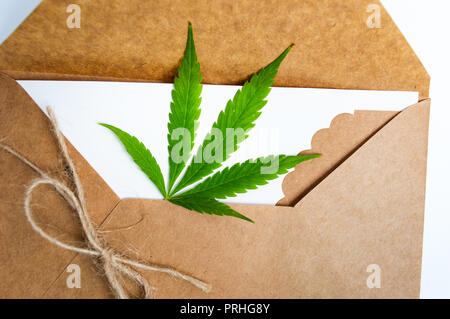 Feuilles de marijuana dans une enveloppe close up Banque D'Images