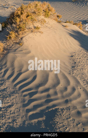 Rides de sable, Mesquite Sand Dunes, Death Valley National Park, Californie Banque D'Images