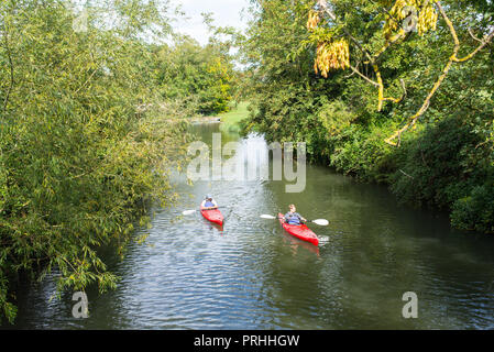 Cambridge, UK - Septembre 2018. Deux hommes kayak sur red kayaks sur une petite rivière boueuse (Cam) entouré d'une végétation luxuriante. Banque D'Images