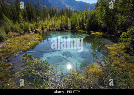 Rainbow lake, lac geyser. Taches de couleur sous l'eau. Mystique lac mystérieux en forêt, l'Altaï, en Sibérie, Russie Banque D'Images