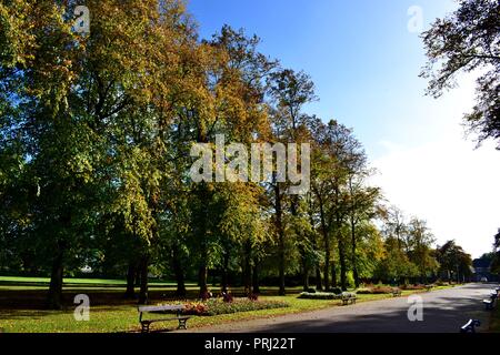 Les chambres lumineuses et colorées, des images montrant Ropner en éclairage naturel Parc, un parc public Victorien traditionnel britannique à Stockton-on-Tees, au début de l'automne. Banque D'Images