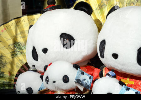 Animaux en peluche ours panda en vente dans une boutique de souvenirs dans le quartier chinois, San Francisco, California USA Banque D'Images