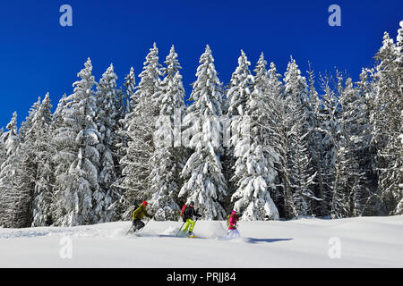 Les randonneurs en raquettes en face d'une forêt couverte de neige sur le sentier de randonnée d'hiver premium de la Hemmersuppenalm, Reit im Winkl Banque D'Images