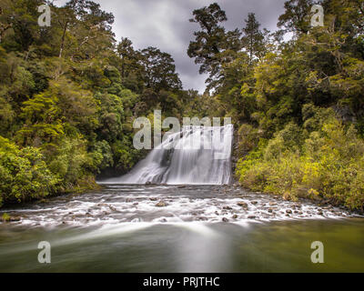 L'exposition longue cascade dans un écrin de forêt ombrophile de Te Urewera National Park en Nouvelle-Zélande Banque D'Images