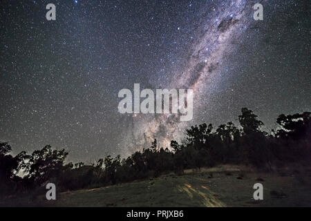 Le sud de la Voie Lactée et centre galactique qui augmente sur une nuit d'avril en Australie, avec l'obscurité et la hausse de l'UEM maintenant effacée les arbres avec tête d'ish, nw Banque D'Images